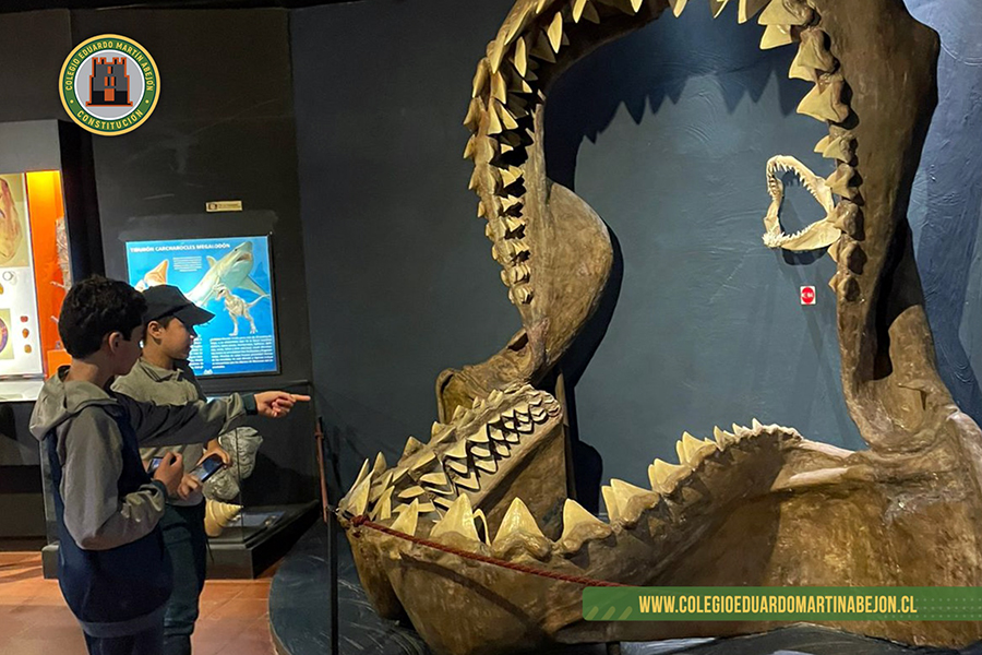 VIAJE PEDAGÓGICO MUSEO DE SANTA CRUZ 2022 min